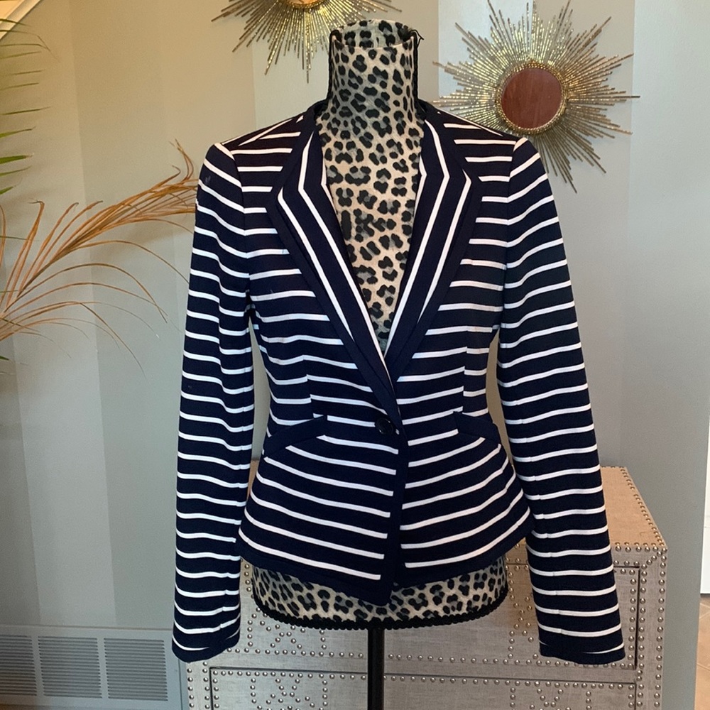 Striped The Limited Blazer